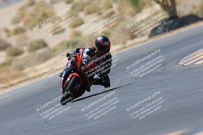 media/May-14-2023-SoCal Trackdays (Sun) [[024eb53b40]]/Turn 5 Tree of Life (1125am)/